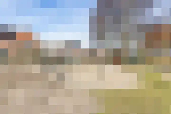 Bultsweg 121 Enschede thumbnail 32