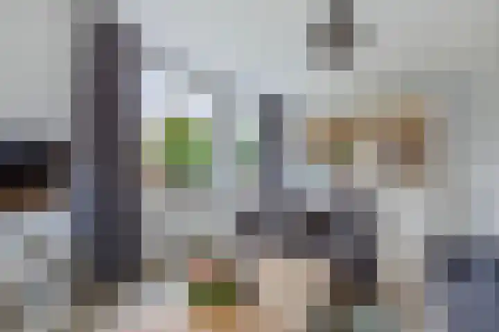 Bumaleane 2 Weidum thumbnail 11