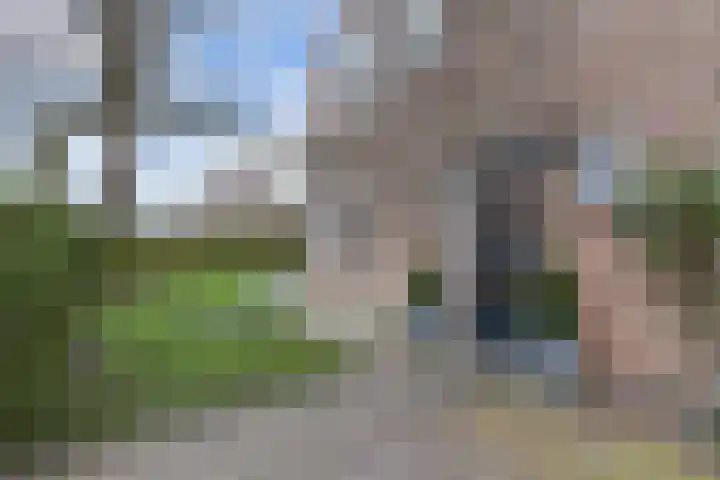 Bumaleane 2 Weidum thumbnail 6