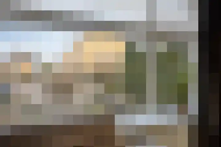 Bumastraat 6 Kampen thumbnail 11