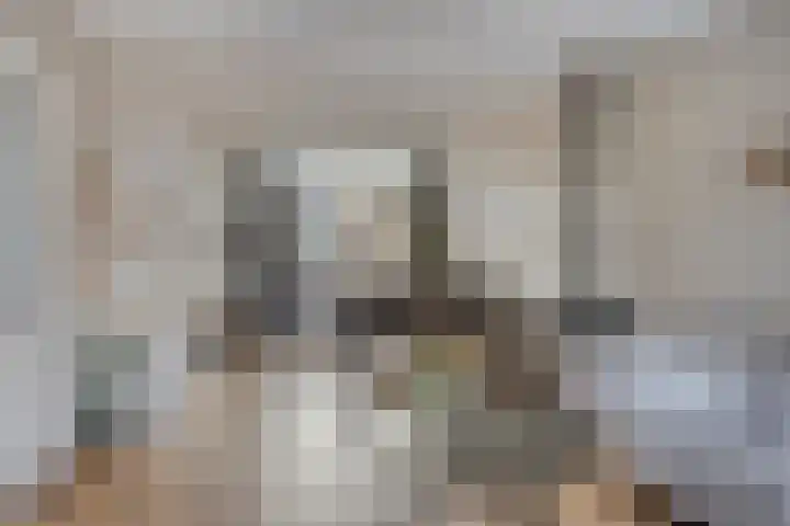 Bumastraat 6 Kampen thumbnail 12