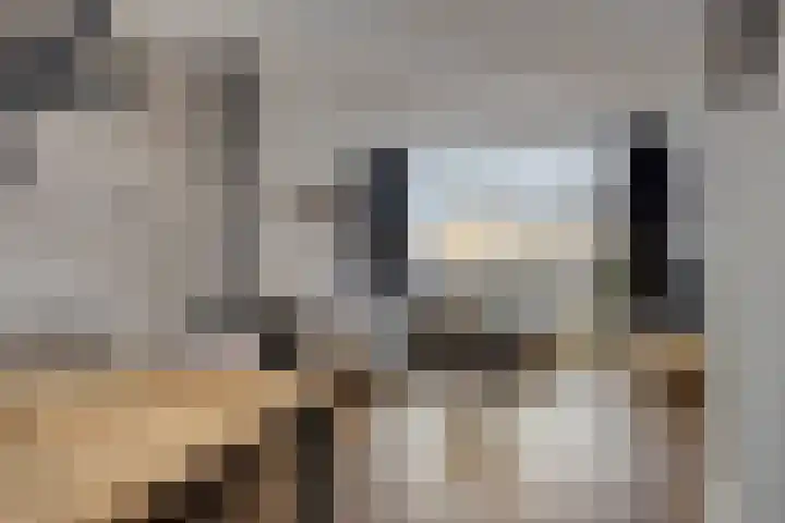 Bumastraat 6 Kampen thumbnail 14