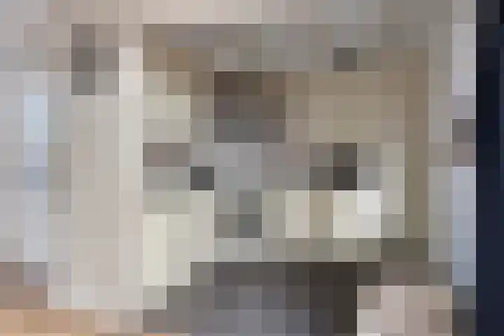 Bumastraat 6 Kampen thumbnail 17