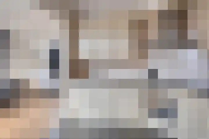 Bumastraat 6 Kampen thumbnail 20