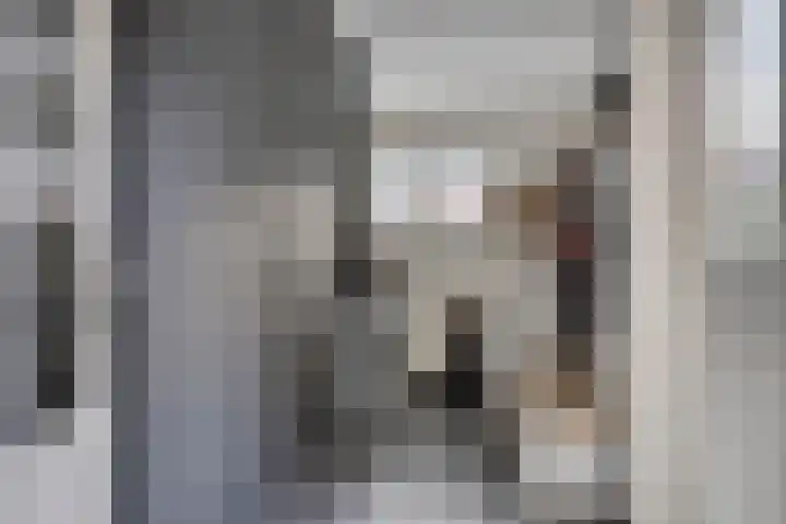 Bumastraat 6 Kampen thumbnail 21