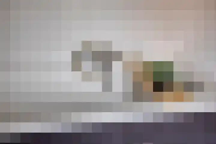 Bumastraat 6 Kampen thumbnail 27