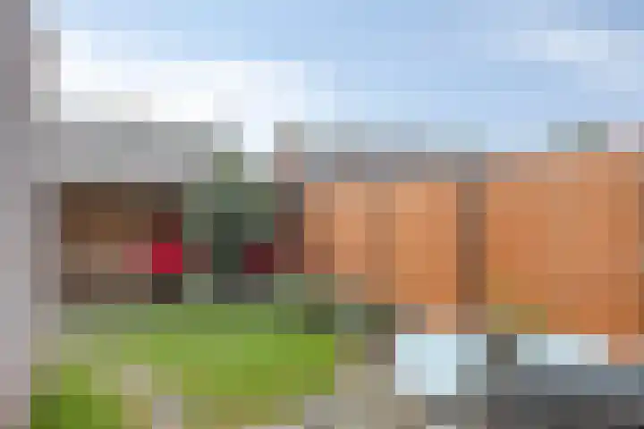 Bumastraat 6 Kampen thumbnail 34