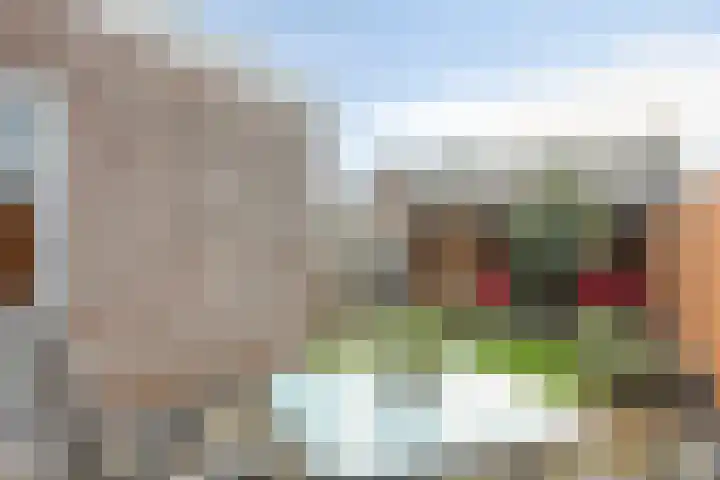 Bumastraat 6 Kampen thumbnail 4