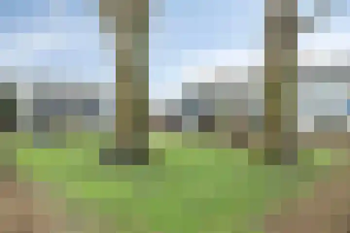 Bumastraat 6 Kampen thumbnail 40