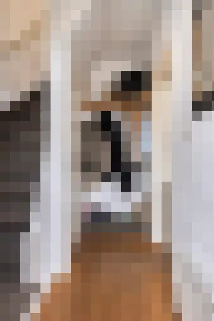 Bumastraat 6 Kampen thumbnail 7