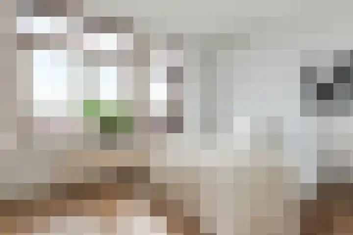 Bunchestraat 82 Reeuwijk thumbnail 14