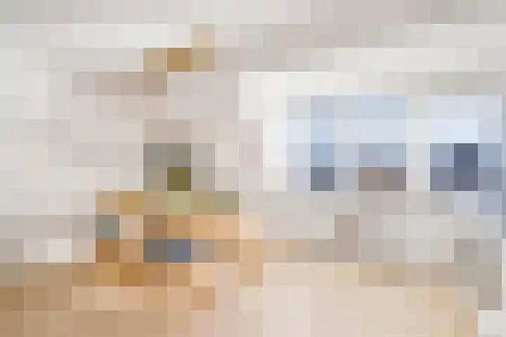 Bunder 6 Brielle thumbnail 15