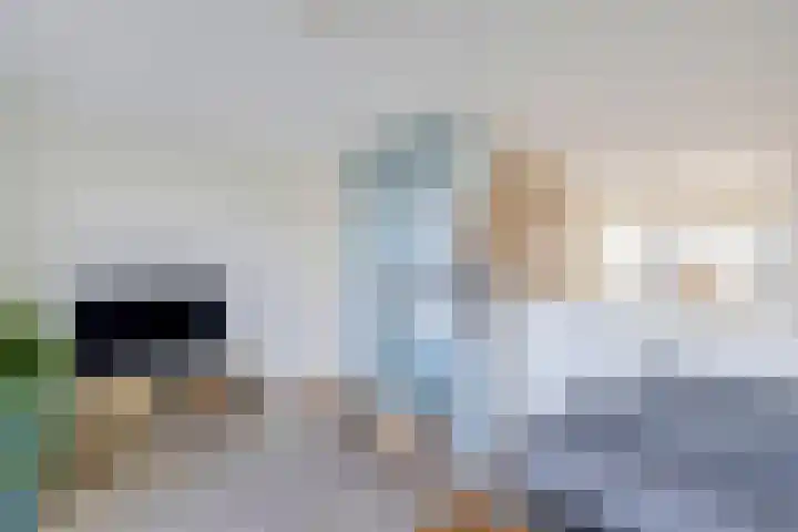 Bunder 6 Brielle thumbnail 20