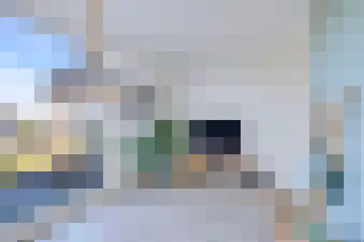 Bunder 6 Brielle thumbnail 21