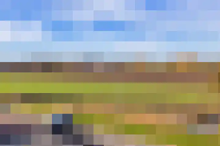 Bunder 6 Brielle thumbnail 23