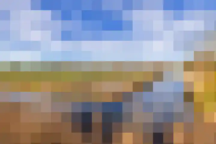 Bunder 6 Brielle thumbnail 28