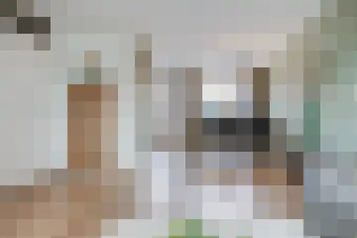 Bunderbos 108 Hoofddorp thumbnail 13