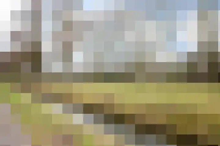 Bunderbos 108 Hoofddorp thumbnail 38