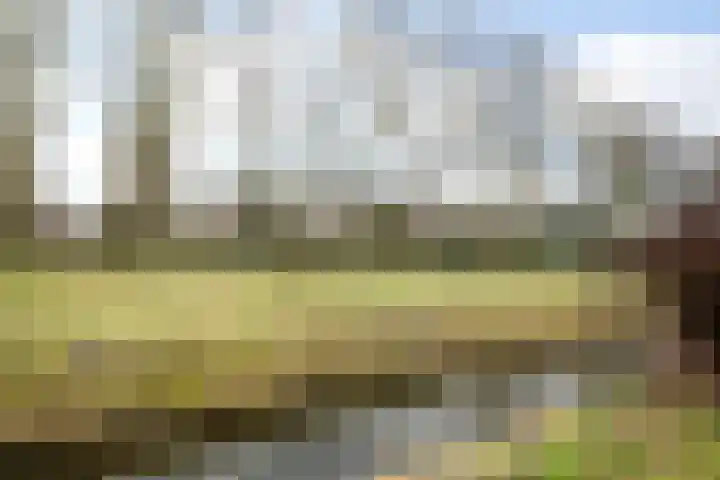 Bunderbos 108 Hoofddorp thumbnail 39