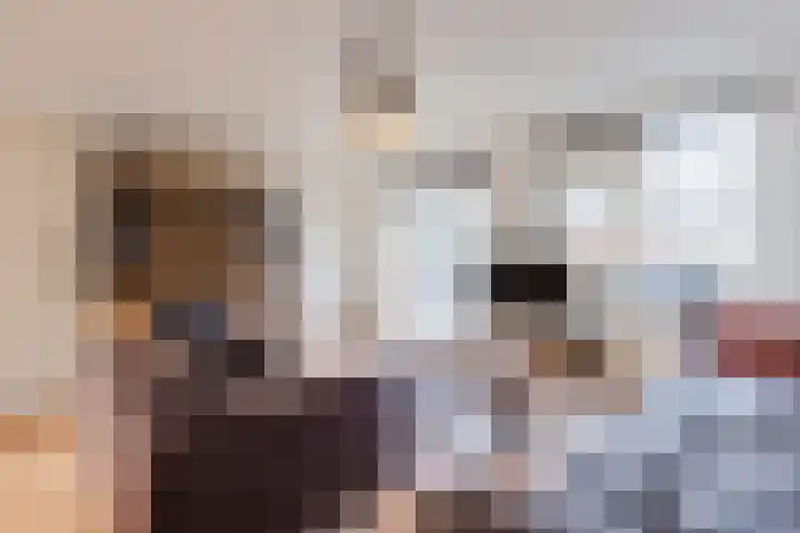 Bunderbos 14 Hoofddorp thumbnail 12