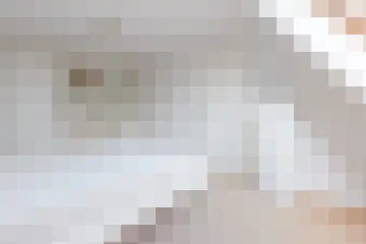 Bunderbos 14 Hoofddorp thumbnail 25