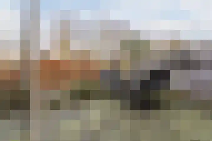 Bunderbos 14 Hoofddorp thumbnail 27