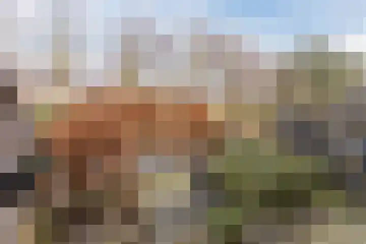 Bunderbos 14 Hoofddorp thumbnail 28