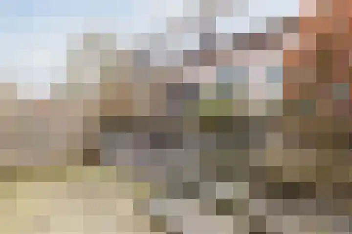 Bunderbos 14 Hoofddorp thumbnail 29