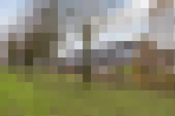 Bunderbos 14 Hoofddorp thumbnail 31