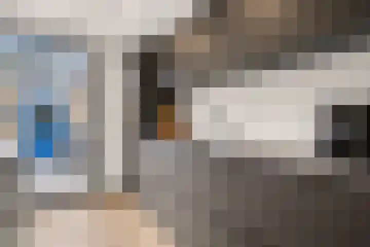Bunderbos 64 Hoofddorp thumbnail 15