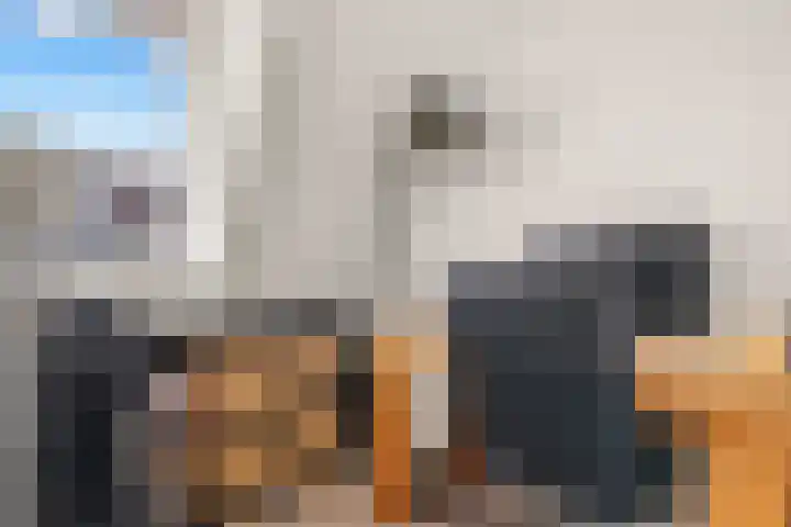 Bunderbos 64 Hoofddorp thumbnail 24