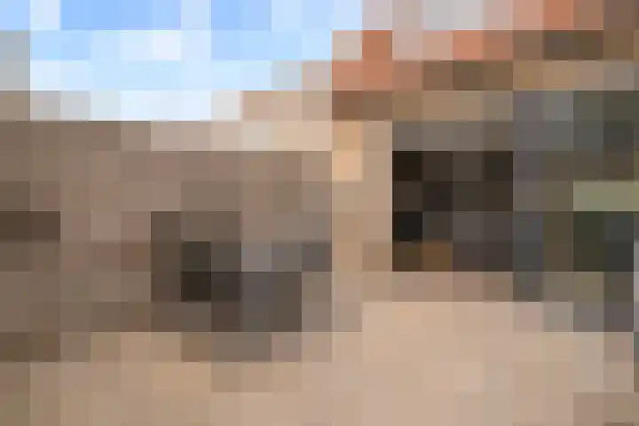 Bunderbos 64 Hoofddorp thumbnail 32