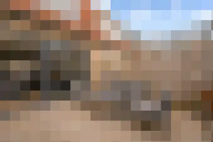 Bunderbos 64 Hoofddorp thumbnail 33