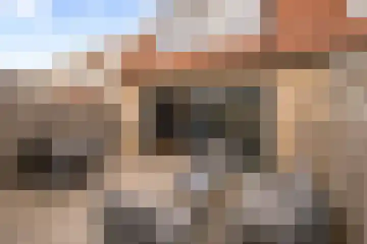 Bunderbos 64 Hoofddorp thumbnail 34