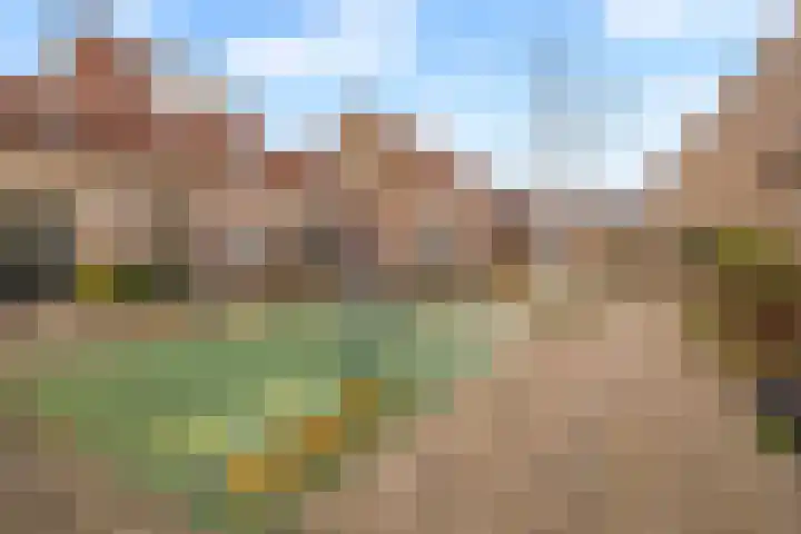 Bunderbos 64 Hoofddorp thumbnail 38