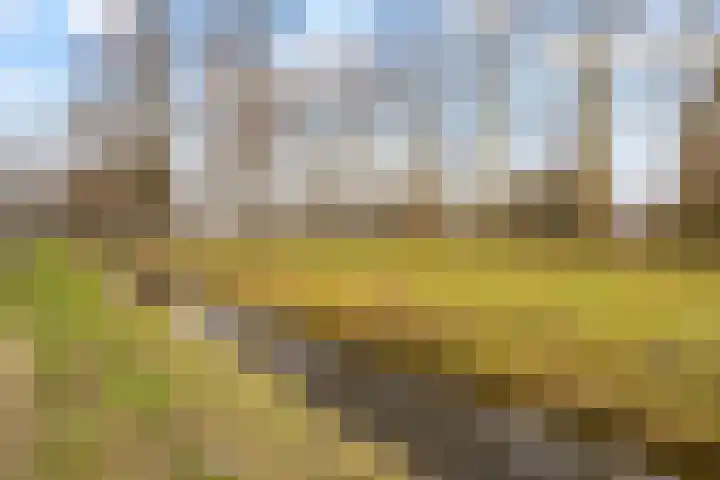 Bunderbos 64 Hoofddorp thumbnail 39