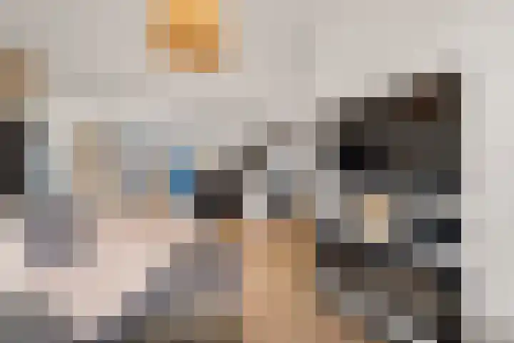 Bunderbos 64 Hoofddorp thumbnail 5