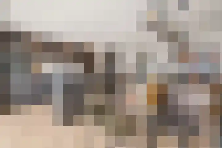 Bunderbos 64 Hoofddorp thumbnail 8