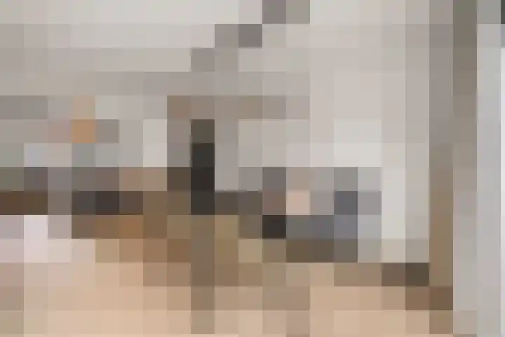 Bunderbos 64 Hoofddorp thumbnail 9
