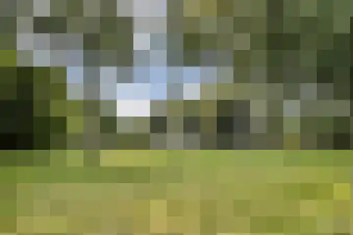 Bunderbos 88 Hoofddorp thumbnail 19