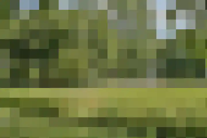 Bunderbos 88 Hoofddorp thumbnail 20