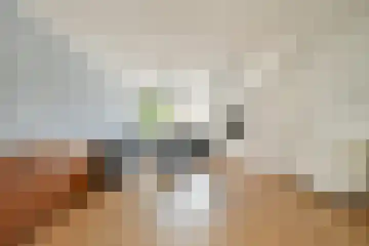 Bunderbos 88 Hoofddorp thumbnail 6