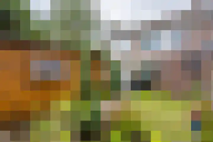 Bunderhof 25 Heerlen thumbnail 18