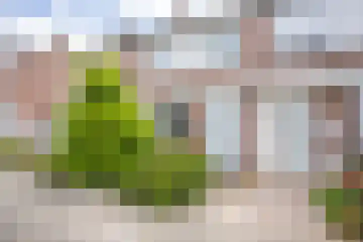 Bunderhof 25 Heerlen thumbnail 24