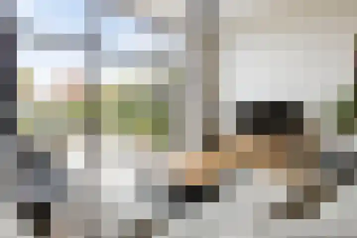 Bunderriet 43 Groningen thumbnail 14