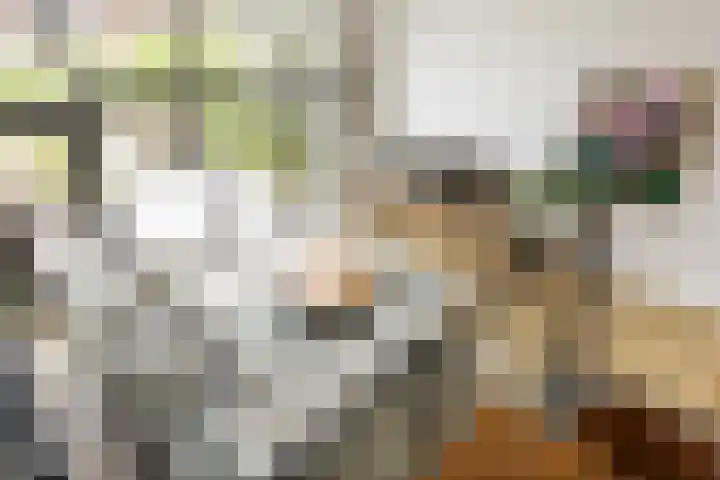 Bunderriet 43 Groningen thumbnail 19