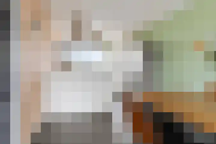 Bunderriet 43 Groningen thumbnail 21