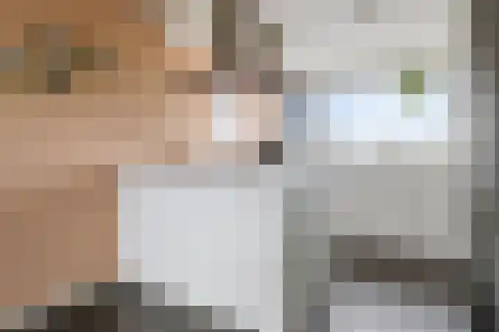Bunderriet 43 Groningen thumbnail 22