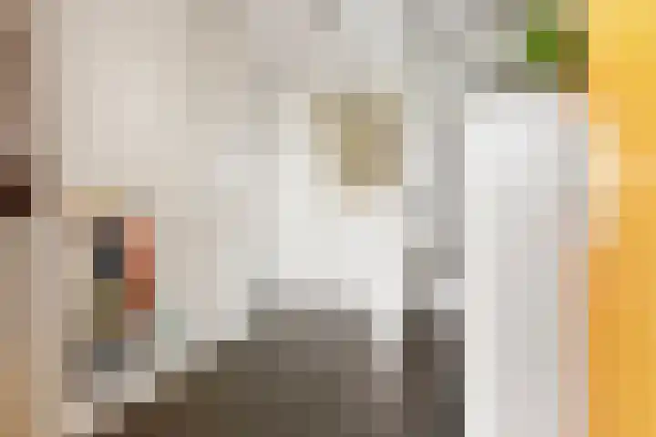Bunderriet 43 Groningen thumbnail 27