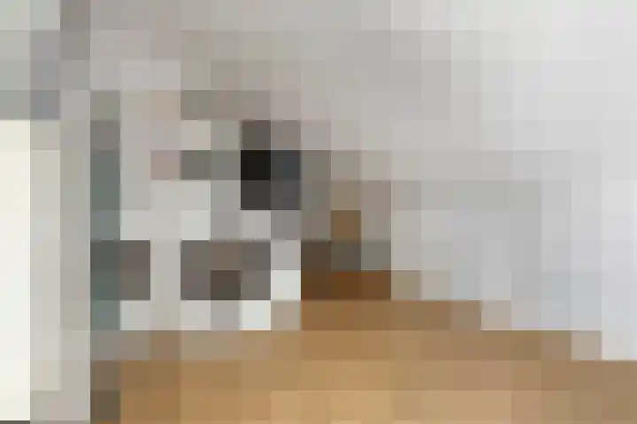 Bunderriet 43 Groningen thumbnail 38